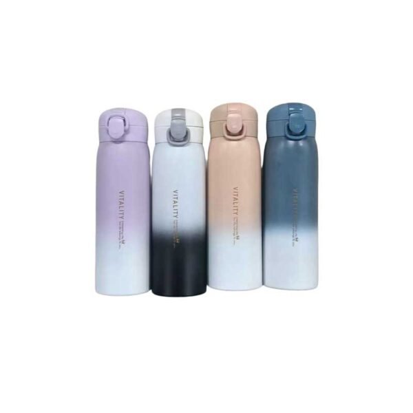 Gradient Thermos Bottle (Random Colour)